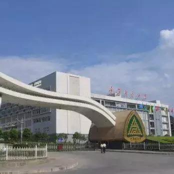 南岸最好出手的小区,南岸核心区房子值得买吗