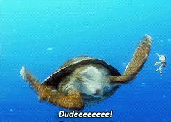 “马子”原意竟是马桶,“凯子”的意思是傻子?