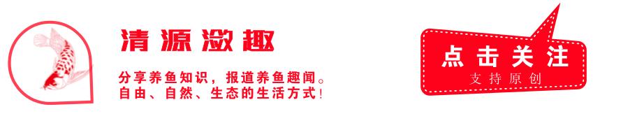 什么品牌硝化细菌菌种最好,好氧反硝化细菌属于什么菌种