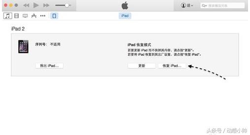 ipad密码输错了停用之后怎么办,ipad密码输错10次停用了怎么办