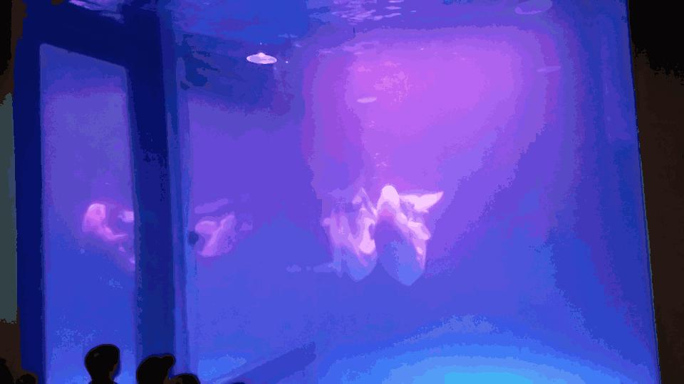 大连好玩的地方滨海路,大连东北路有什么好玩的