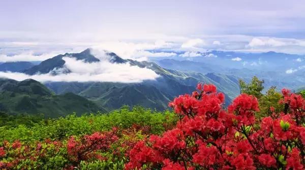 跟着小路旅游不迷路,婺源五一适合去哪里玩