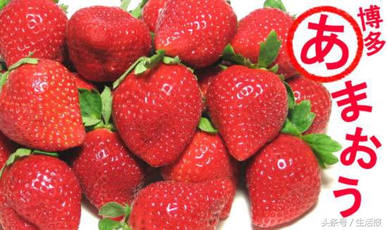 恐龙蛋蜜瓜口感,新疆当季水果恐龙蛋推荐