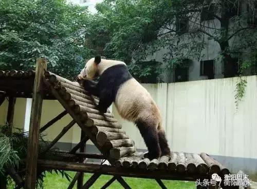 衡阳带孩子一日游攻略,带娃湖南衡阳旅游攻略