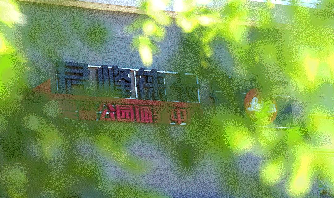 徕卡最顶级的28mm镜头,徕卡50毫米镜头哪款最经典