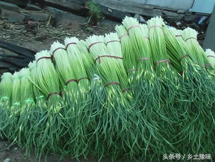 蒜薹为什么突然贵了,蒜薹为什么涨价