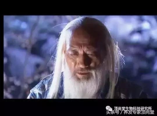 男人两鬓白发能恢复吗,紧张焦虑白发怎么恢复