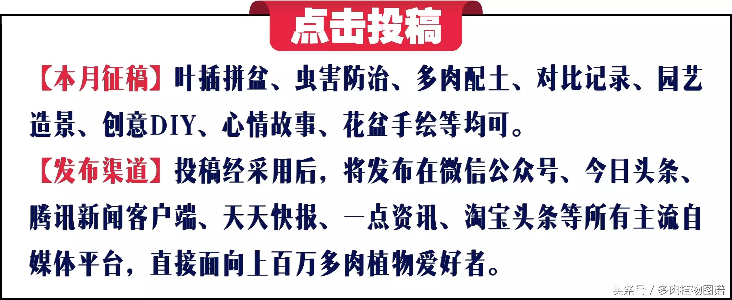 入坑半年的经历,入坑五个月总结