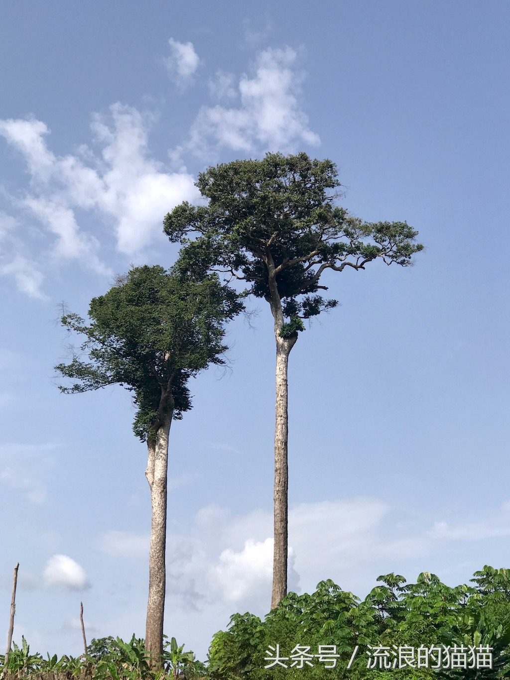 加蓬最不真实的地方,加蓬自然风光