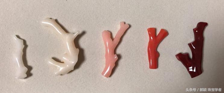 阿卡牛血红珊瑚自己戴可以吗,顶级阿卡牛血红珊瑚是哪个产地