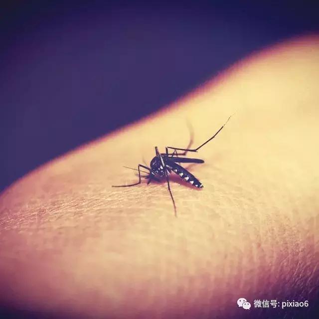 奇痒无比一抓就起水泡,浑身刺痒一挠全是小水泡