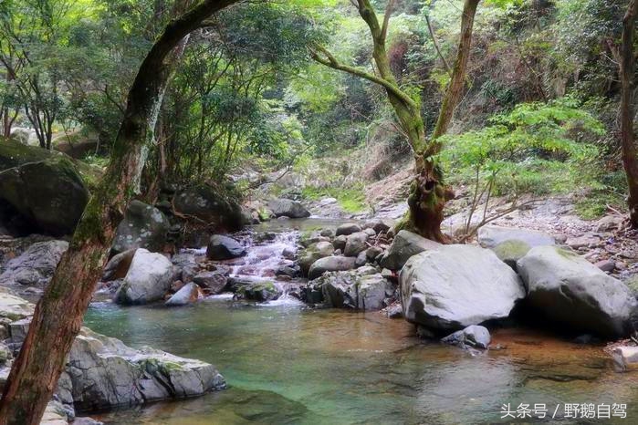 北京深秋露营野滩烧烤推荐,野鹅自驾