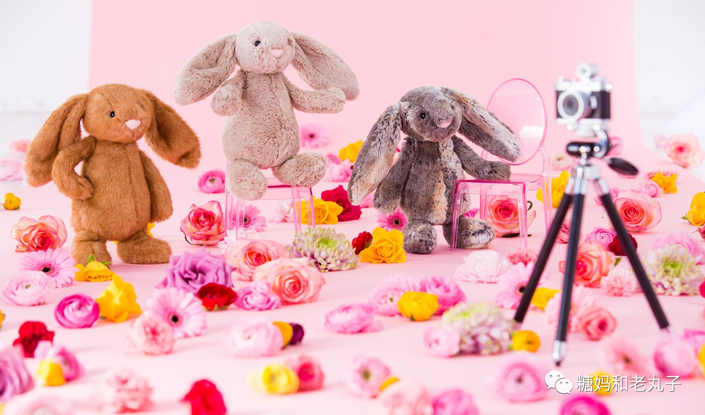 钱会花光人会散它萌不会离开你