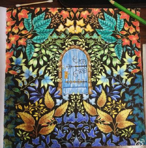 秘密花园2涂色成品,秘密花园涂色详细教程