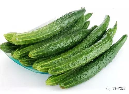 立夏火热的季节来了,立夏夏天猝不及防就来了