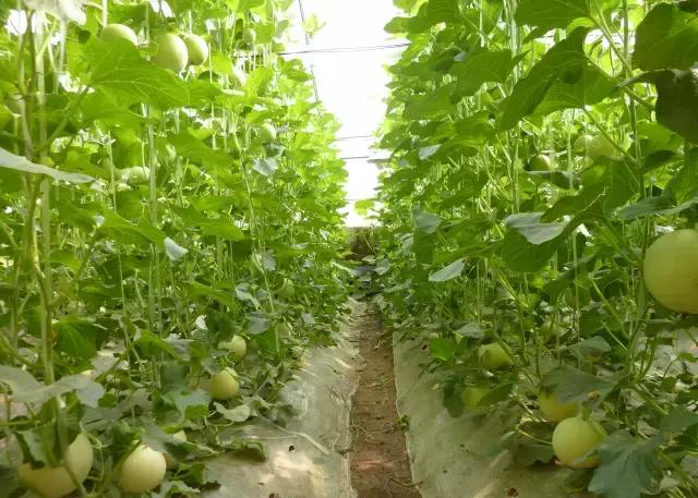 大西安·微PK｜阎良区竟然还有这么多名字你知道几个？