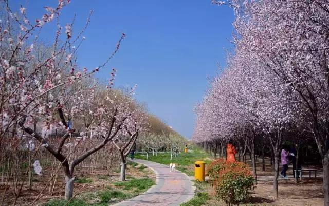 大西安·微PK｜阎良区竟然还有这么多名字你知道几个？