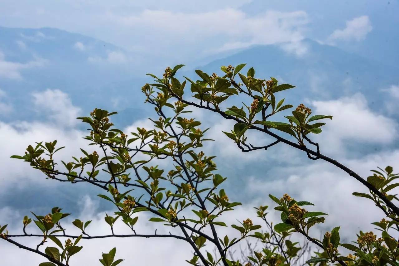 北石：江西上饶灵山告诉我，原来石头也可以一柱擎天！