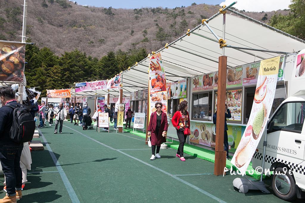 澳门航空空姐游东京 富士山下遇见最美的樱花