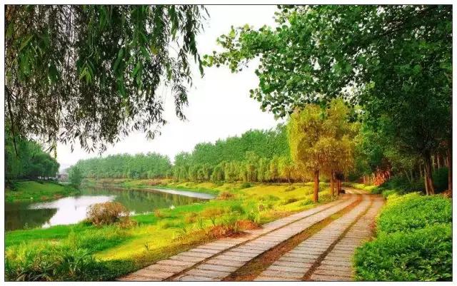 南岸最好出手的小区,南岸核心区房子值得买吗