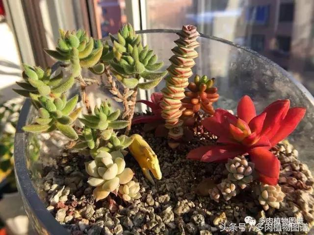 入坑半年的经历,入坑五个月总结