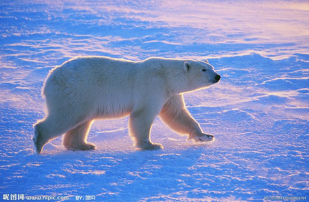 婊℃湀涓轰粈涔堢湅涓嶆竻缁嗚妭,婊℃湀鐪嬭捣鏉ヨ繕鏄槮鐦︾殑