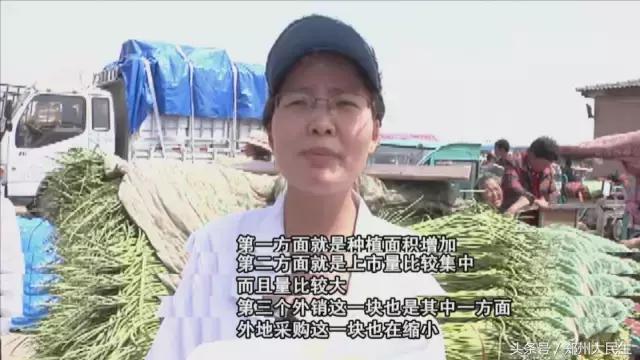 蒜薹5毛钱一斤,蒜薹三十几块钱一斤正常吗