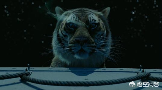 推荐一部你最喜欢的电影及理由,20年精选20部电影总有一部适合你