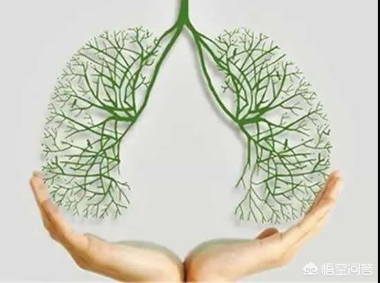 学生感染肺结核学校是否承担治疗,孩子得了结核休学后会受到歧视吗