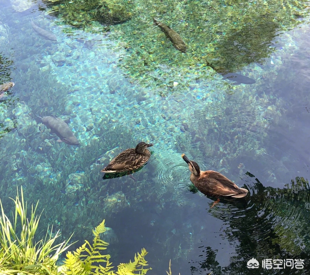 带着父母旅行景点,带着父母去旅行好不好