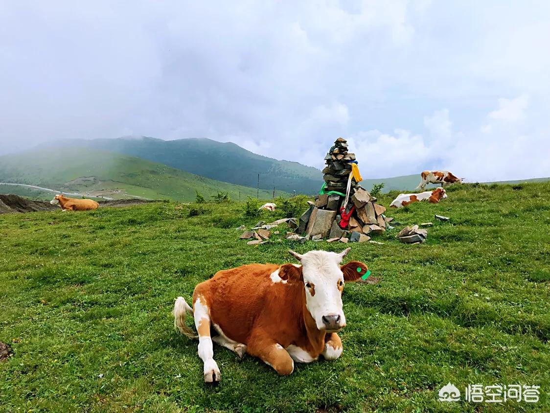 山西五台山旅游攻略准备东西,自驾游山西五台山需要准备的东西