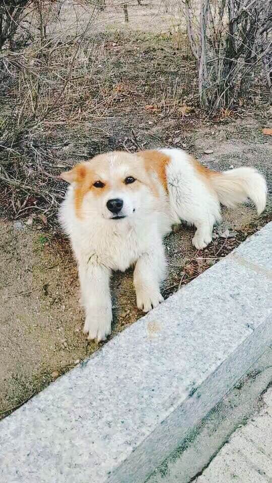 军人的无奈与叹息散文,军人异地恋心酸无奈的句子