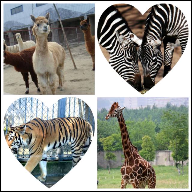 聊城市五一小长假去哪里玩,聊城五一假日攻略