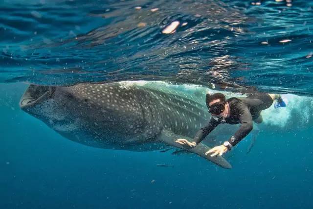 这一生一定要有的8个旅行体验,一生必须有的50个旅行体验