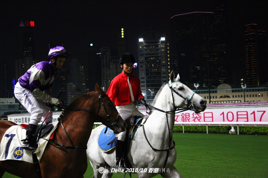 香港跑马地现场直击赛马