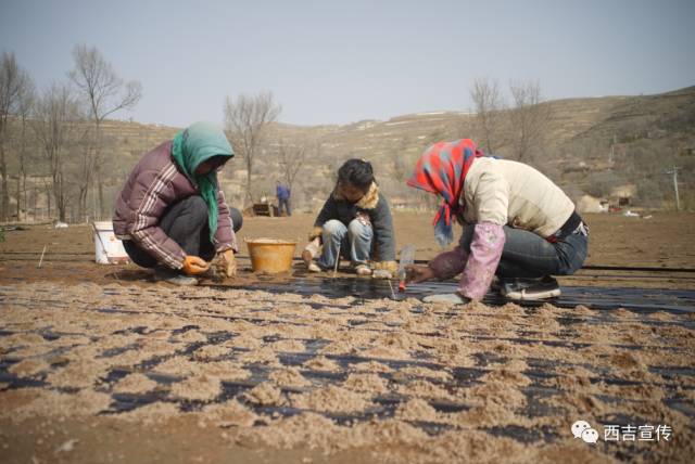 探寻劳动之美,诠释劳动之美