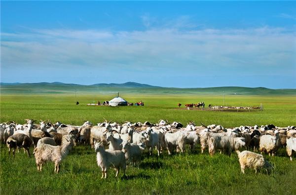 绔崍鑺傛父鐜╁ぉ楣呮箹娌欐哗,绔崍鑺傚ぉ楣呮箹鍥剧墖