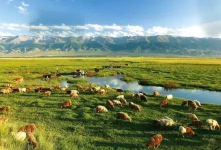 哈密人都去哪了,哈密人是什么民族