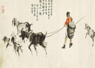 中药蒙花介绍,中药蒙花是啥