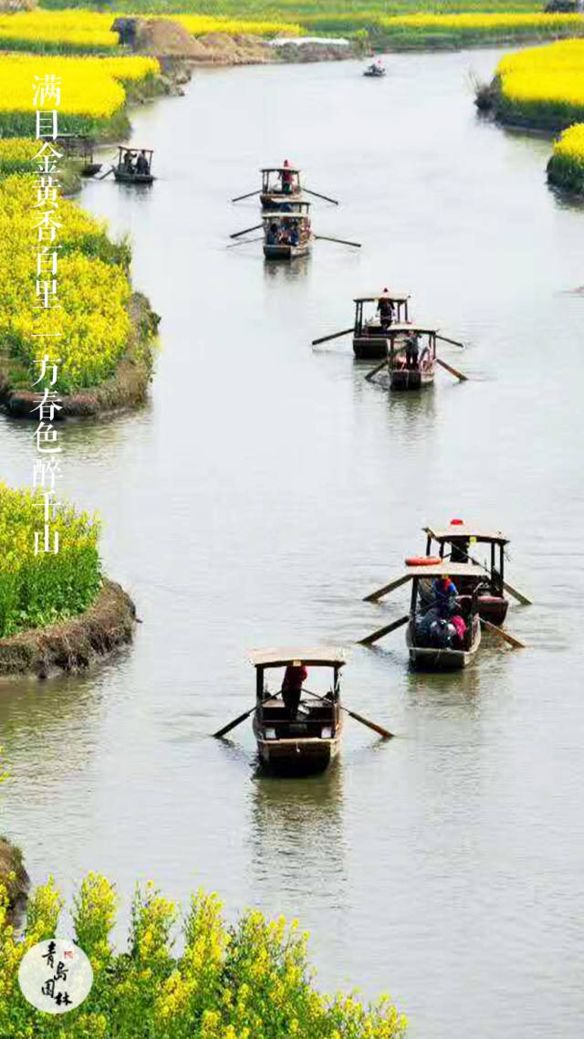 每日分享｜从古到今说来话，不过是情而已,5月3日）