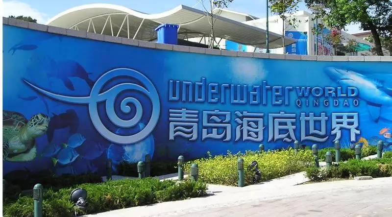 外地人有福了!是谁整理的这本青岛玩乐指南?我要奖励他!