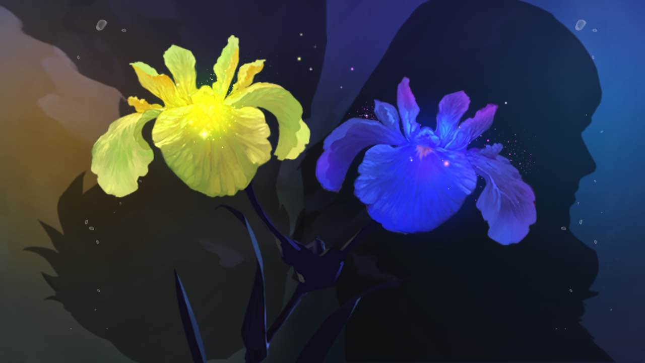 斩获33项国际大奖,斩获多项国际大奖