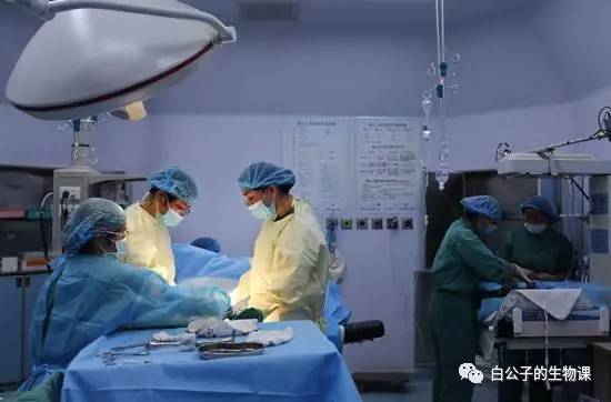 生孩子是怎么回事？反正不是好事，只有切身体验过才会懂！