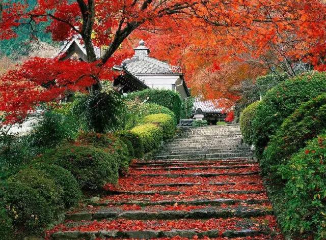 来一场说走就走的旅行江苏,等老了去旅行