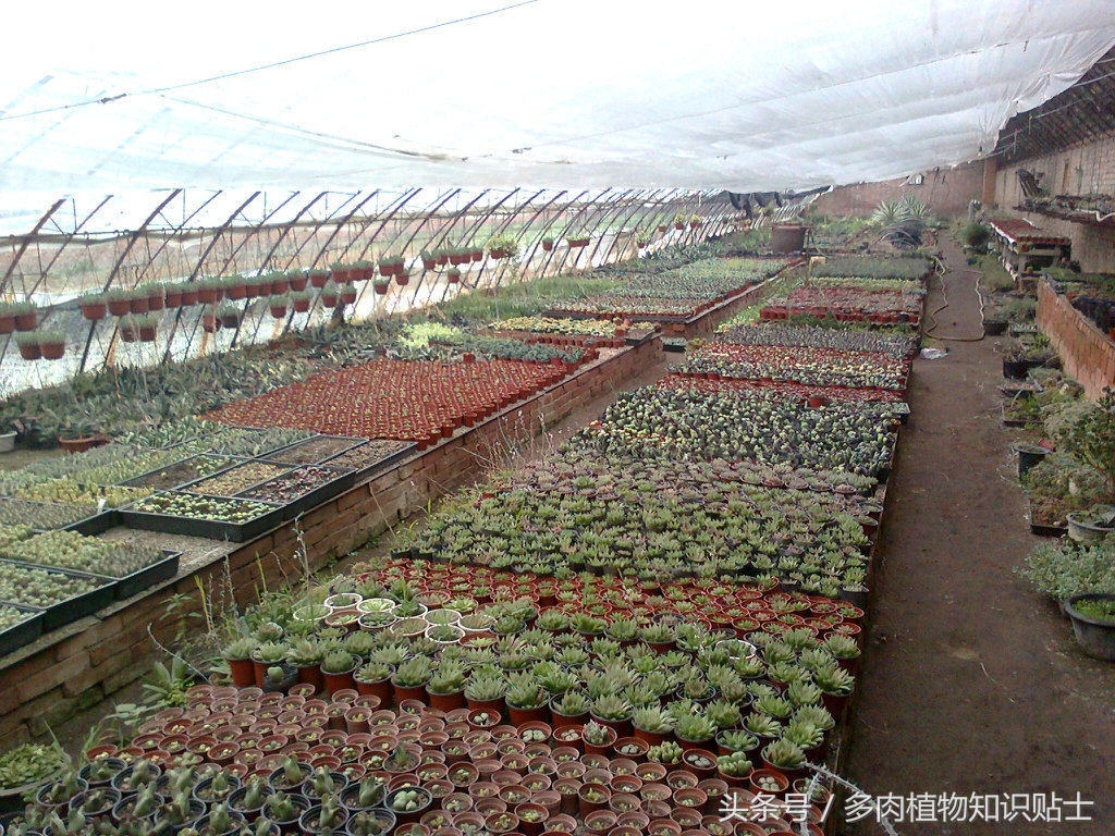 中日韩vs亚洲其他国家,中日韩比拼