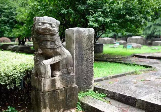 不花一分钱游遍美景,不花一分钱游遍全世界