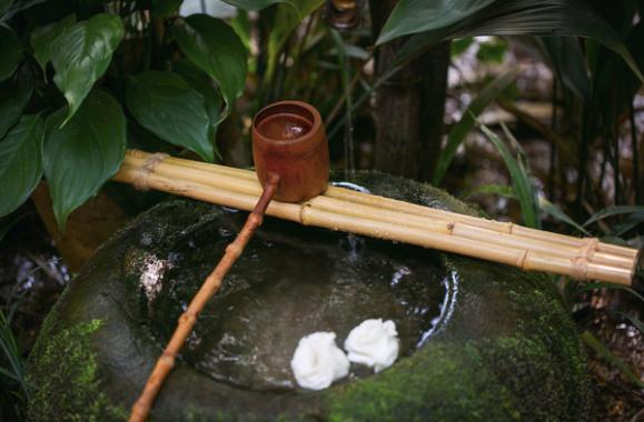 花茶连窨机窨制花茶的步骤,窨花茶和炒花茶的区别