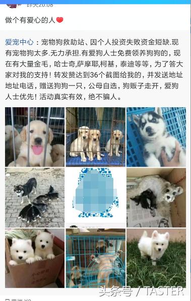 转发说说送小狗?集赞30送樱桃?又到夏天这群*子骗**又来了!