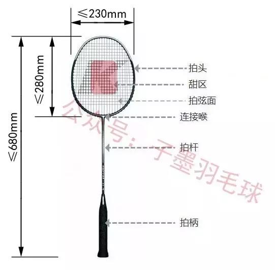 羽毛球全套技术,入门羽毛球必备装备
