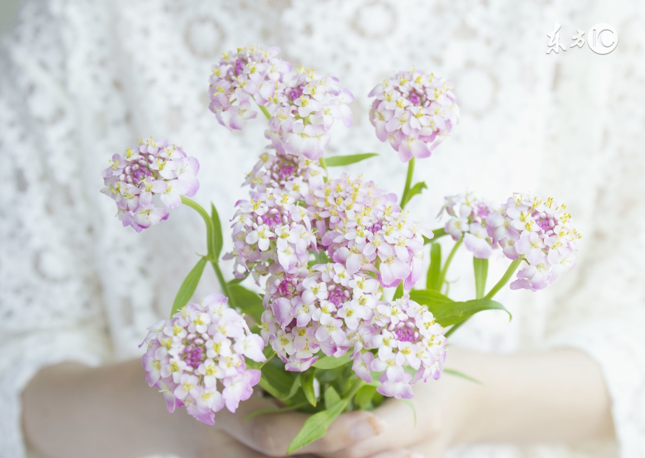 错过了很好的男朋友怎么挽回,女生如何挽回已经分手两年的男友